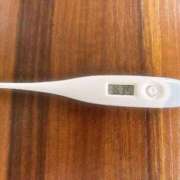 ヒメ日記 2025/06/03 12:37 投稿 ミナミ(奥方) 奥様幕府