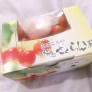 ヒメ日記 2025/06/26 16:07 投稿 ミナミ(奥方) 奥様幕府