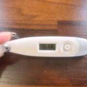 ヒメ日記 2025/06/27 14:17 投稿 ミナミ(奥方) 奥様幕府