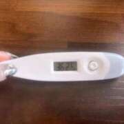 ヒメ日記 2025/06/29 13:31 投稿 ミナミ(奥方) 奥様幕府