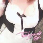 ヒメ日記 2025/09/02 01:17 投稿 ミナミ(奥方) 奥様幕府