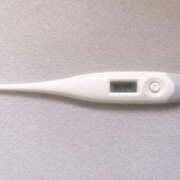 ヒメ日記 2025/09/02 12:47 投稿 ミナミ(奥方) 奥様幕府