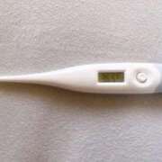 ヒメ日記 2025/09/09 11:47 投稿 ミナミ(奥方) 奥様幕府