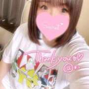 ヒメ日記 2025/09/18 03:26 投稿 ミナミ(奥方) 奥様幕府