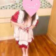 ヒメ日記 2025/09/24 19:07 投稿 ミナミ(奥方) 奥様幕府