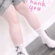 ヒメ日記 2025/11/04 01:35 投稿 ミナミ(奥方) 奥様幕府