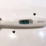 ヒメ日記 2025/11/28 14:17 投稿 ミナミ(奥方) 奥様幕府