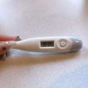 ヒメ日記 2025/11/30 12:27 投稿 ミナミ(奥方) 奥様幕府