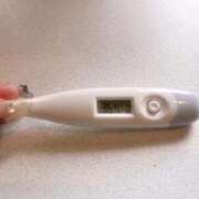 ヒメ日記 2025/12/04 11:47 投稿 ミナミ(奥方) 奥様幕府