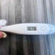 ヒメ日記 2025/12/28 13:42 投稿 ミナミ(奥方) 奥様幕府