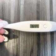 ヒメ日記 2025/12/30 13:37 投稿 ミナミ(奥方) 奥様幕府