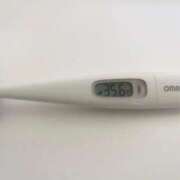 ヒメ日記 2026/01/31 13:47 投稿 ミナミ(奥方) 奥様幕府