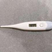 ヒメ日記 2026/02/01 13:27 投稿 ミナミ(奥方) 奥様幕府