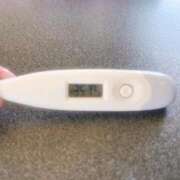 ヒメ日記 2026/02/02 14:27 投稿 ミナミ(奥方) 奥様幕府