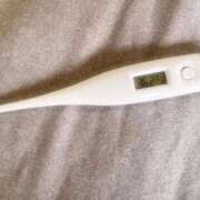 ヒメ日記 2026/02/03 14:47 投稿 ミナミ(奥方) 奥様幕府