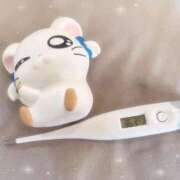 ヒメ日記 2026/03/24 14:37 投稿 ミナミ(奥方) 奥様幕府