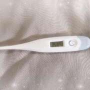 ヒメ日記 2026/03/25 14:27 投稿 ミナミ(奥方) 奥様幕府