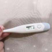 ヒメ日記 2026/03/26 14:37 投稿 ミナミ(奥方) 奥様幕府