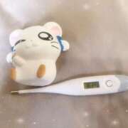 ヒメ日記 2026/03/27 15:27 投稿 ミナミ(奥方) 奥様幕府