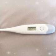 ヒメ日記 2026/03/28 15:17 投稿 ミナミ(奥方) 奥様幕府