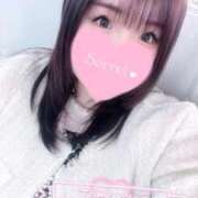 ヒメ日記 2026/03/29 00:36 投稿 ミナミ(奥方) 奥様幕府