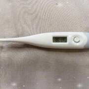 ヒメ日記 2026/03/31 14:41 投稿 ミナミ(奥方) 奥様幕府
