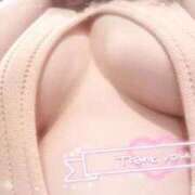 ヒメ日記 2026/03/31 18:27 投稿 ミナミ(奥方) 奥様幕府