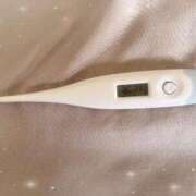 ヒメ日記 2026/04/01 12:58 投稿 ミナミ(奥方) 奥様幕府