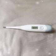 ヒメ日記 2026/04/02 14:37 投稿 ミナミ(奥方) 奥様幕府