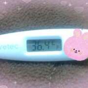 ヒメ日記 2024/12/27 14:57 投稿 ウタ(奥方) 奥様幕府