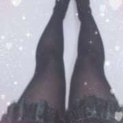 ヒメ日記 2024/12/27 18:17 投稿 ウタ(奥方) 奥様幕府