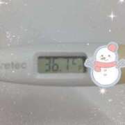 ヒメ日記 2024/12/28 15:17 投稿 ウタ(奥方) 奥様幕府