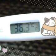 ヒメ日記 2024/12/29 15:17 投稿 ウタ(奥方) 奥様幕府