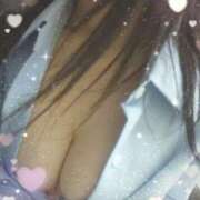 ヒメ日記 2024/12/31 05:27 投稿 ウタ(奥方) 奥様幕府