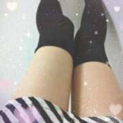 ヒメ日記 2024/12/31 05:33 投稿 ウタ(奥方) 奥様幕府