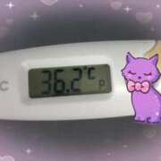 ヒメ日記 2024/12/31 14:07 投稿 ウタ(奥方) 奥様幕府