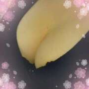 ヒメ日記 2025/01/01 03:27 投稿 ウタ(奥方) 奥様幕府