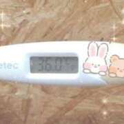 ヒメ日記 2025/01/01 14:07 投稿 ウタ(奥方) 奥様幕府