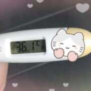 ヒメ日記 2025/01/02 13:57 投稿 ウタ(奥方) 奥様幕府