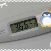 ヒメ日記 2025/01/03 16:17 投稿 ウタ(奥方) 奥様幕府