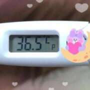 ヒメ日記 2025/01/05 15:07 投稿 ウタ(奥方) 奥様幕府