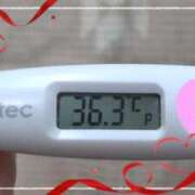 ヒメ日記 2025/01/07 12:22 投稿 ウタ(奥方) 奥様幕府