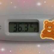 ヒメ日記 2025/01/08 12:09 投稿 ウタ(奥方) 奥様幕府