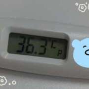 ウタ(奥方) (｀･ω･´)ﾉ 奥様幕府