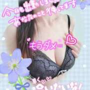 ヒメ日記 2025/08/08 09:53 投稿 さくら 熟女ばかり
