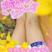 ヒメ日記 2025/09/29 09:51 投稿 さくら 熟女ばかり