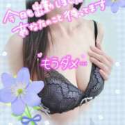 ヒメ日記 2025/10/19 09:50 投稿 さくら 熟女ばかり