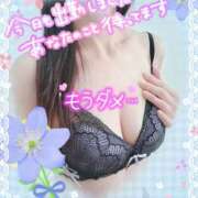 ヒメ日記 2026/09/17 09:35 投稿 さくら 熟女ばかり