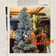 ヒメ日記 2025/12/24 11:57 投稿 白石　まどか 昼下がりの情事