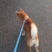 ヒメ日記 2025/09/28 18:54 投稿 めい 京都痴女性感フェチ倶楽部